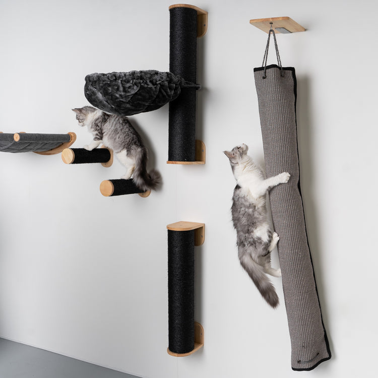 Parete di arrampicata: borsa per arrampicata per gatti (grigio)