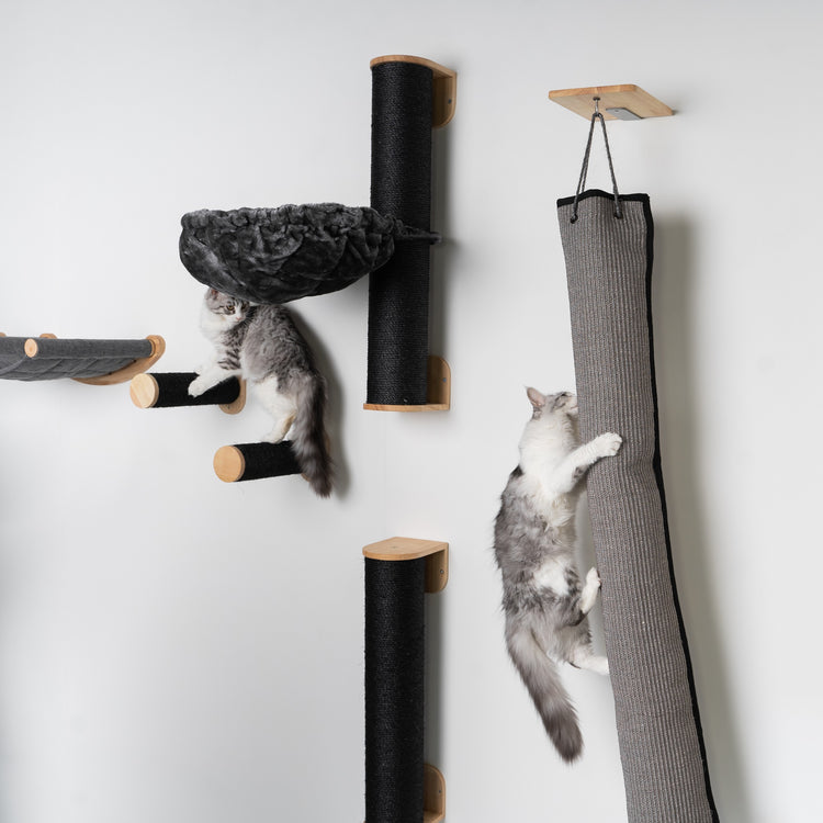 Parete di arrampicata: borsa per arrampicata per gatti (grigio)