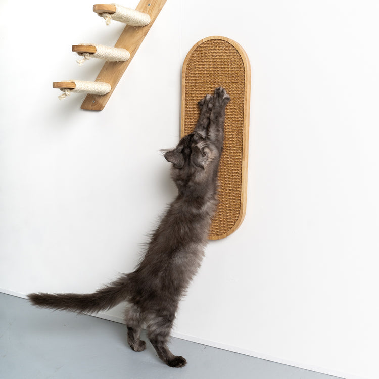 Parete da arrampicata: tappetino da graffio per gatti (Legno di gomma kaki)
